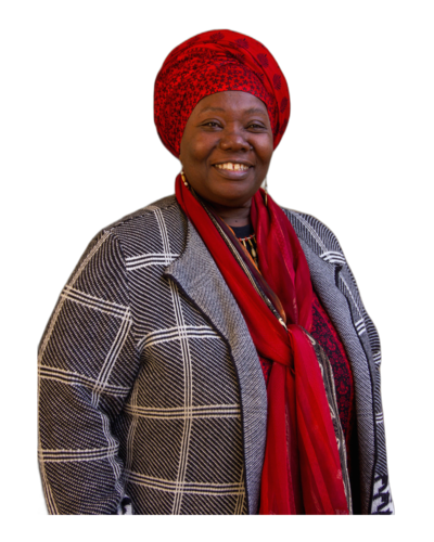 Qur'an Shakir, SAPT Project Director